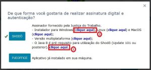Como configurar o Shodo, seu guia definitivo